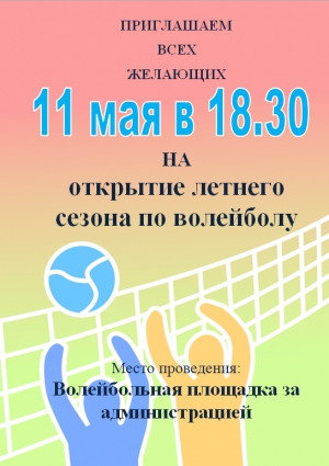 Поиграем в волейбол?